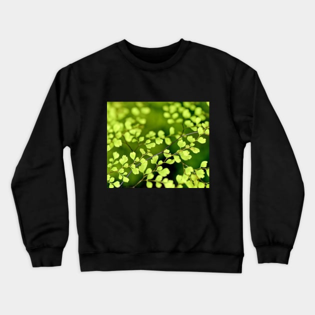 Awesome green leaves tree Crewneck Sweatshirt by Designdaily